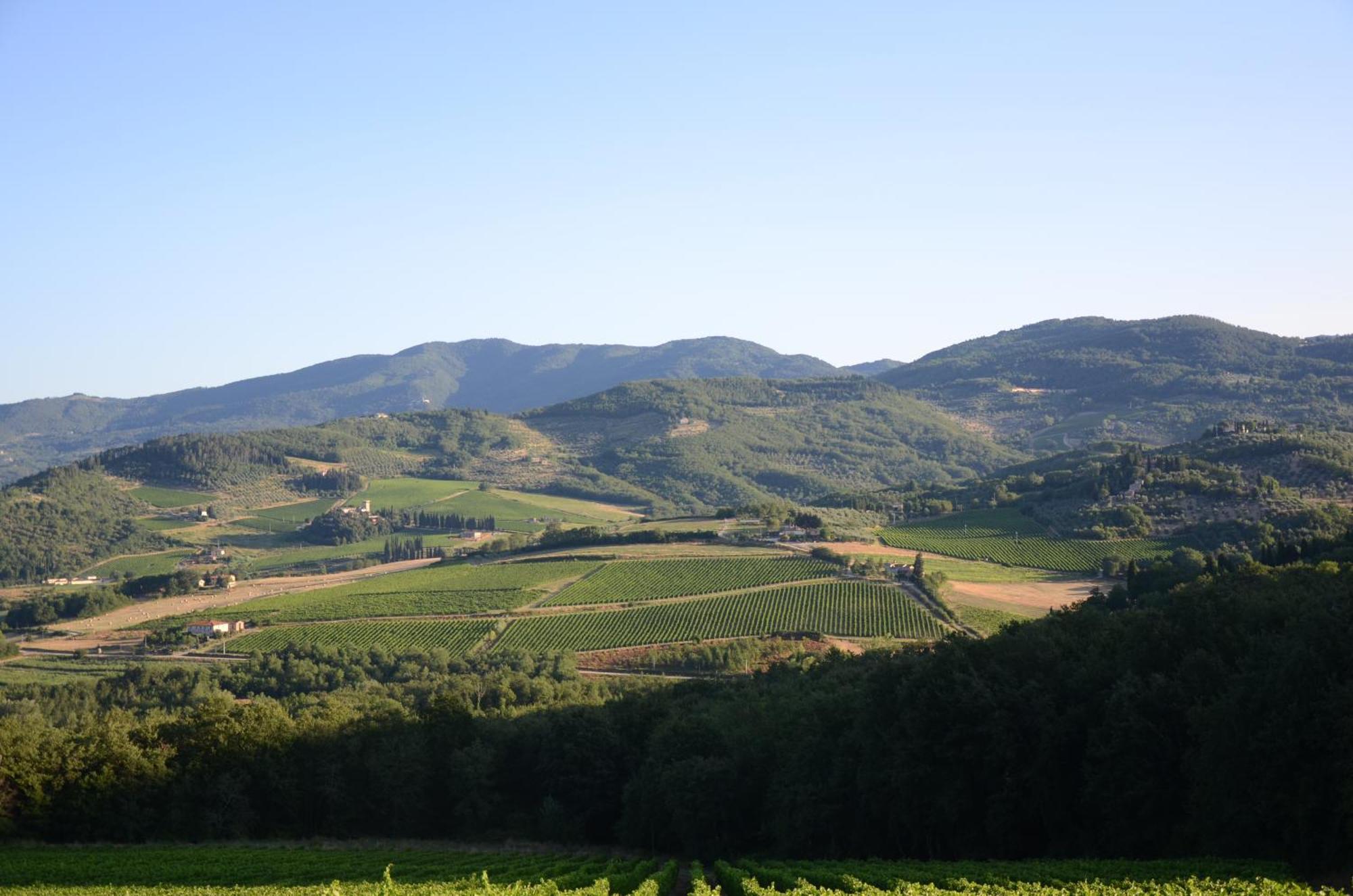 Agriturismo Marchesi Gondi Pontassieve Buitenkant foto